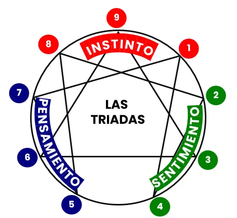 eneagrama y nuestro cerebro 